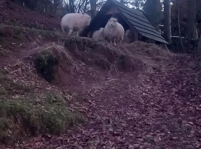 Ferienwohnung Apartment